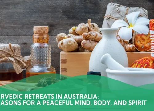 Ayurvedic Retreats in India: 5 Reasons For A Peaceful Mind, Body, and Spirit